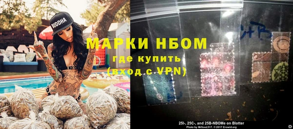 ГАЛЛЮЦИНОГЕННЫЕ ГРИБЫ Семёнов