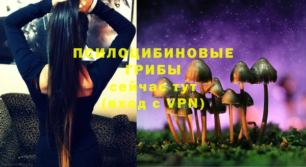 дживик Беломорск