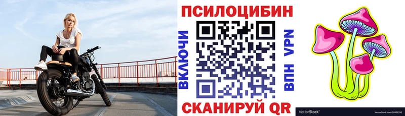 Псилоцибиновые грибы Magic Shrooms  Купить где  Уржум 